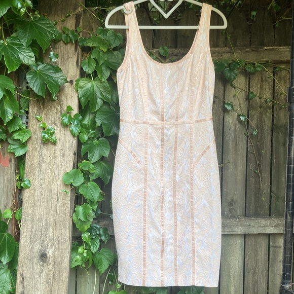 Cach’e Light pink Embroidered Sleeveless Dress A-Line Full back Zipper - Picture 7 of 10